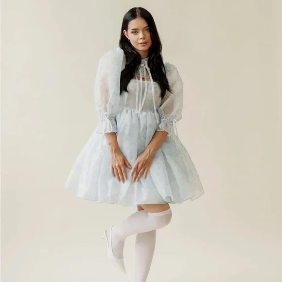 The Hydrangea Ever After Dress - Picture 1 of 5